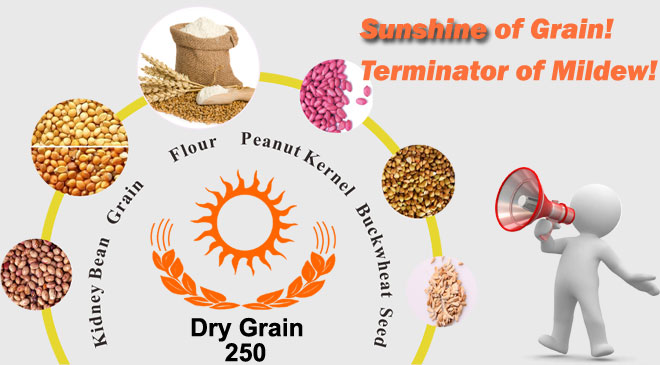 Container Desiccant Dry Grain