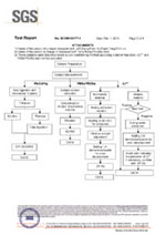 RoHS Test Report(SGS)